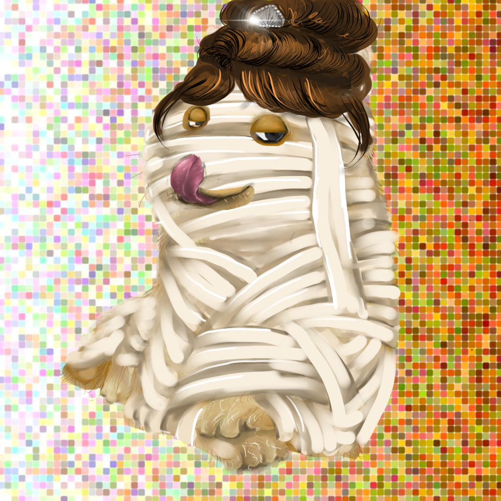 BonkFun #135 NFT image