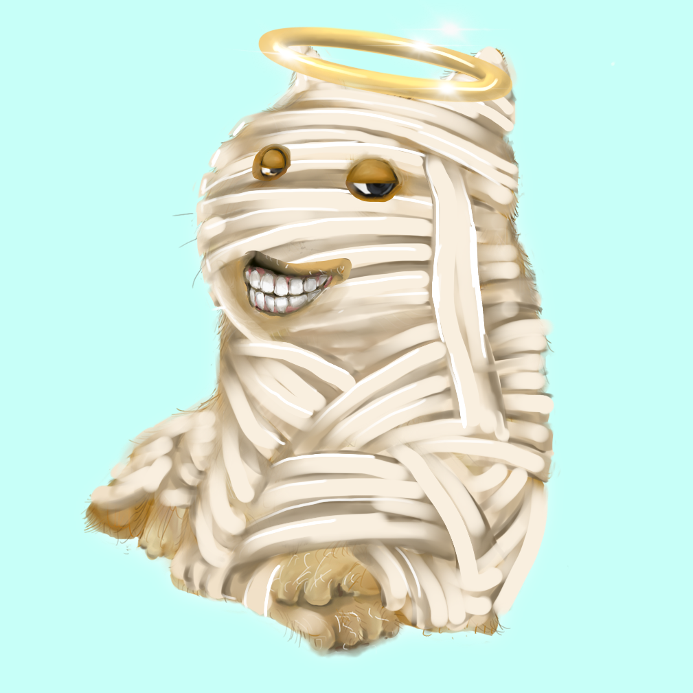 BonkFun #142 NFT image