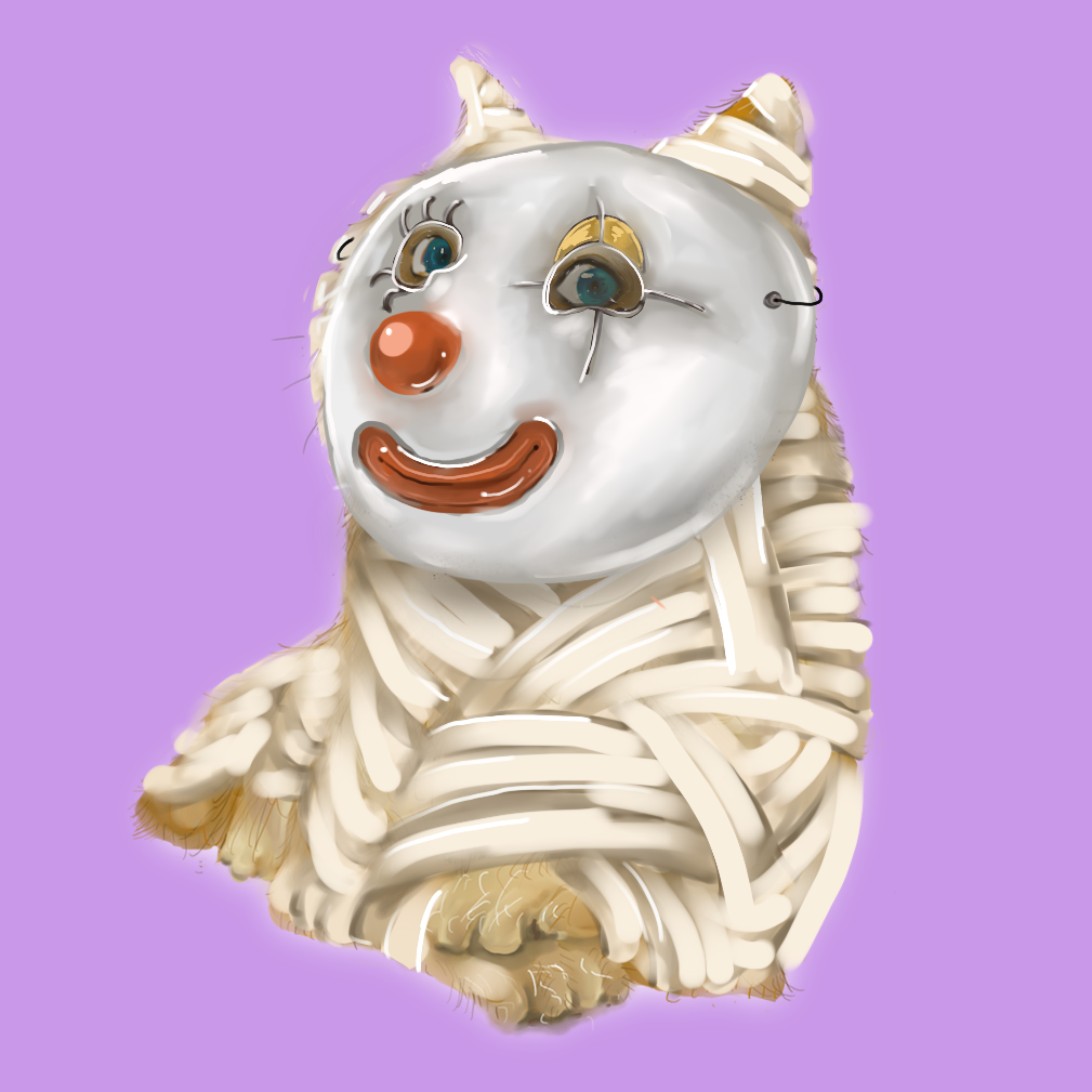 BonkFun #540 NFT image