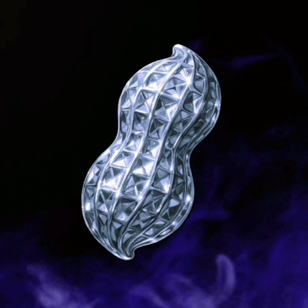 SILVER NUT #157 NFT image