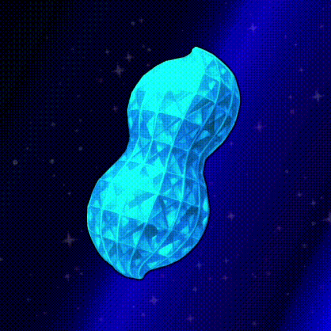 DIAMOND NUT #55 NFT image