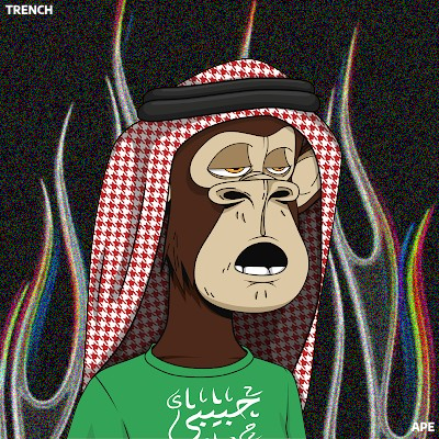 Trench Ape #2729 NFT image